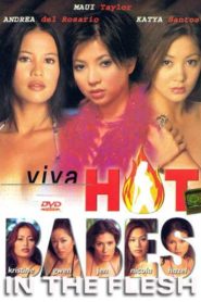 Viva Hot Babes: In The Flesh