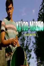 Kayod-Marino (Hardwork)