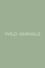 Wild Animals